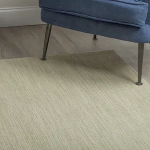 Monaco Sisal Aloe 2\' x 3\' Rug