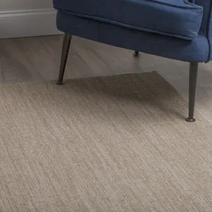 Monaco Sisal Mocha 2\' x 3\' Rug