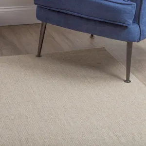 Monaco Sisal Taupe 2\' x 3\' Rug