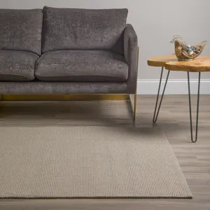 Monaco Sisal Taupe 2\' x 3\' Rug