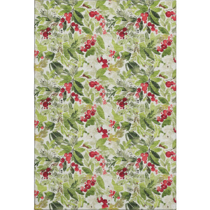 Luxury Washable Indoor/Outdoor Merry & Bright Aloe Rug