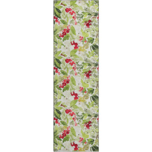 Luxury Washable Indoor/Outdoor Merry & Bright Aloe 2'3