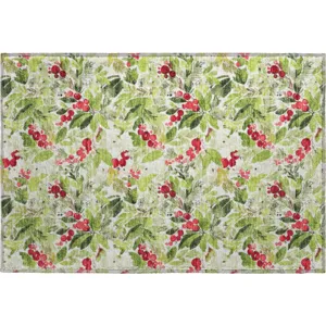 Luxury Washable Indoor/Outdoor Merry & Bright Aloe 1\'8\" x 2\'6\" Rug