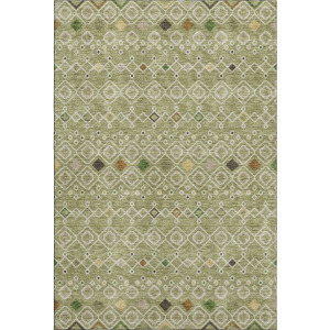 Machine Washable Indoor/Outdoor Neo Sage Rug