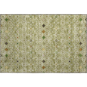 Machine Washable Indoor/Outdoor Neo Sage Rug