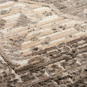 Odessa Graphite 7\'10\" x 10\' Rug