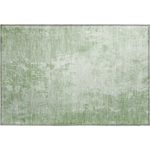 Machine Washable Indoor/Outdoor Pacifica Mint 1\'8\" x 2\'6\" Rug