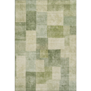 Machine Washable Indoor/Outdoor Pacifica Aloe Rug