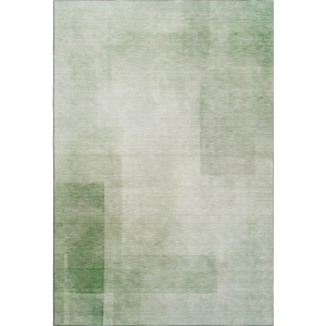 Machine Washable Indoor/Outdoor Pacifica Aloe Rug