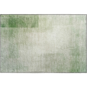 Machine Washable Indoor/Outdoor Pacifica Aloe Rug