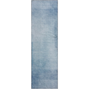 Machine Washable Indoor/Outdoor Pacifica Blue 2'3