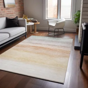 Machine Washable Indoor/Outdoor Pacifica Coral 3\' x 5\' Rug