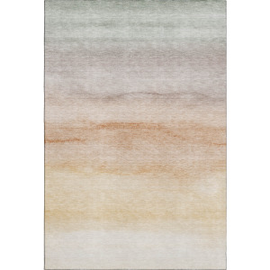 Machine Washable Indoor/Outdoor Pacifica Coral Rug
