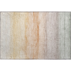 Machine Washable Indoor/Outdoor Pacifica Coral Rug