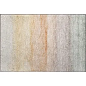 Machine Washable Indoor/Outdoor Pacifica Coral 1\'8\" x 2\'6\" Rug