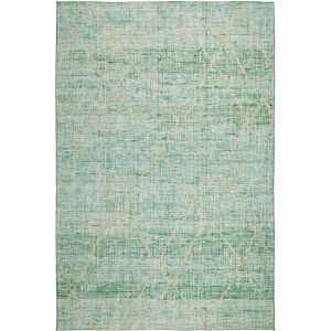 Luxury Washable Indoor/Outdoor Portico Aloe Rug