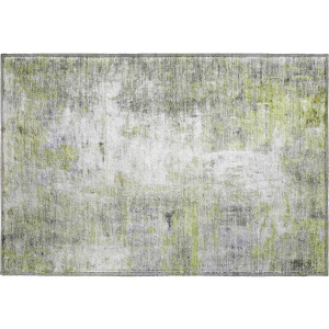 Luxury Washable Indoor/Outdoor Ravenna Aloe Rug
