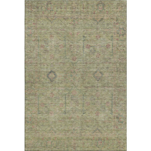 Luxury Washable Indoor/Outdoor Ravenna Aloe Rug