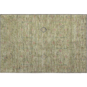 Luxury Washable Indoor/Outdoor Ravenna Aloe Rug