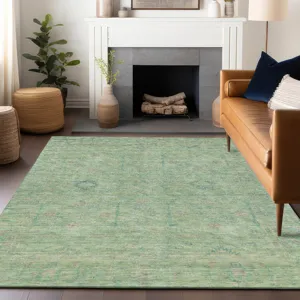 Luxury Washable Indoor/Outdoor Ravenna Seafoam 2\'6\" x 3\'10\" Rug