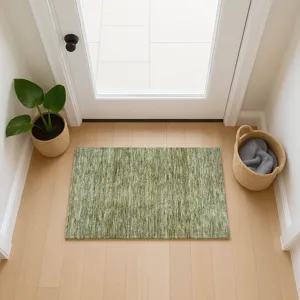 Luxury Washable Indoor/Outdoor Soft Essentials Aloe 1\'8\" x 2\'6\" Rug