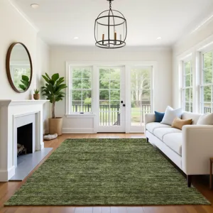 Luxury Washable Indoor/Outdoor Soft Essentials Olive 2\'6\" x 3\'10\" Rug