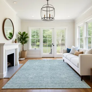 Luxury Washable Indoor/Outdoor Soft Essentials Sky 2\'6\" x 3\'10\" Rug