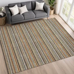Luxury Washable Indoor/Outdoor Soft Essentials Earth 3\' x 5\' Rug