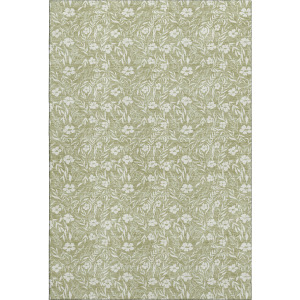 Luxury Washable Indoor/Outdoor Soft Essentials Aloe Rug