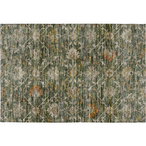 Indoor/Outdoor Silk Road Basil Rug