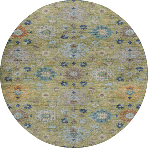 Indoor/Outdoor Silk Road Aloe 8' x 8' Round Rug