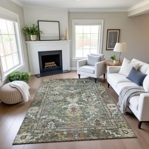Indoor/Outdoor Silk Road Basil 2\'6\" x 3\'10\" Rug