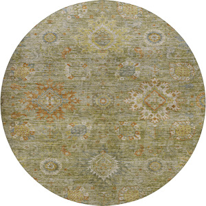 Indoor/Outdoor Silk Road Sage 8' x 8' Round Rug