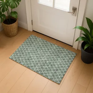Luxury Washable Indoor/Outdoor The Reserve Basil 1\'8\" x 2\'6\" Rug