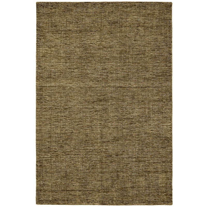 TT100_Fern_1.jpg