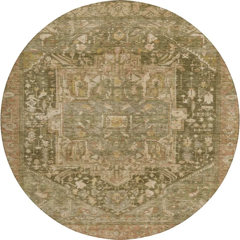 SL14_Fern_Round_main_580x_crop_center.webp
