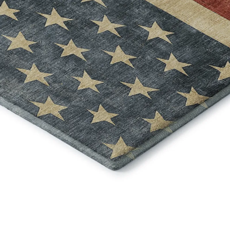 Machine Washable Indoor/Outdoor Americana Red 2\'3\" x 7\'6\" Runner Rug