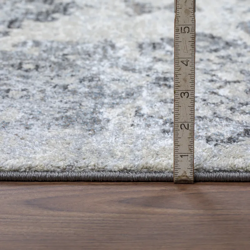 Antigua Pewter 3\'3\" x 5\'3\" Rug