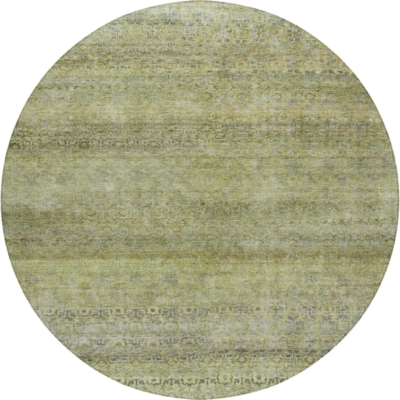 Luxury Washable Indoor/Outdoor Burano Aloe 8\' x 8\' Round Rug
