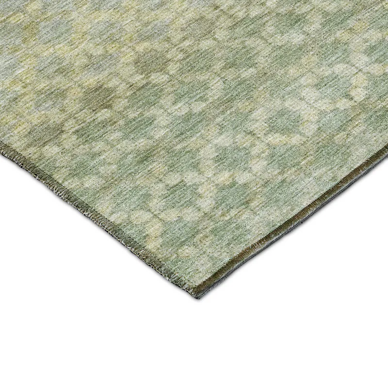 Luxury Washable Indoor/Outdoor Burano Aloe 1\'8\" x 2\'6\" Rug