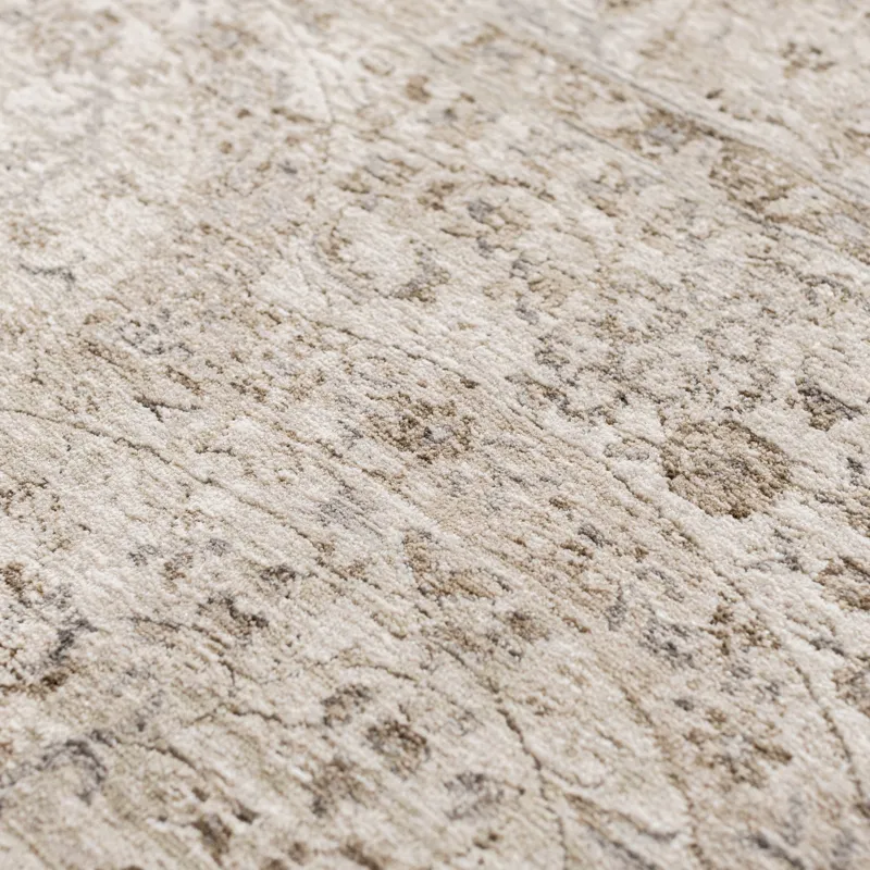 Cyprus Beige 5\' x 7\'10\" Rug