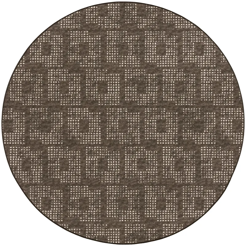 Delano Chocolate 6\' x 6\' Round Rug