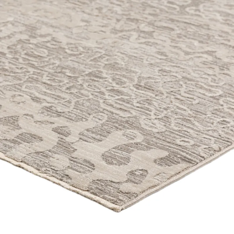 Denizi Silver 3\'3\" x 5\'3\" Rug