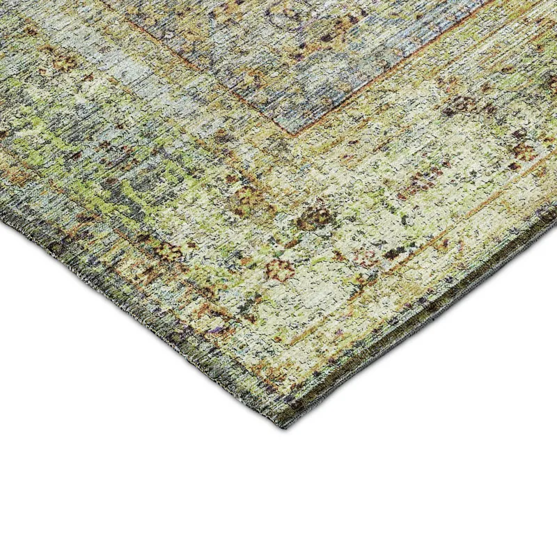 Indoor/Outdoor Karaj Aloe 9\' x 12\' Rug