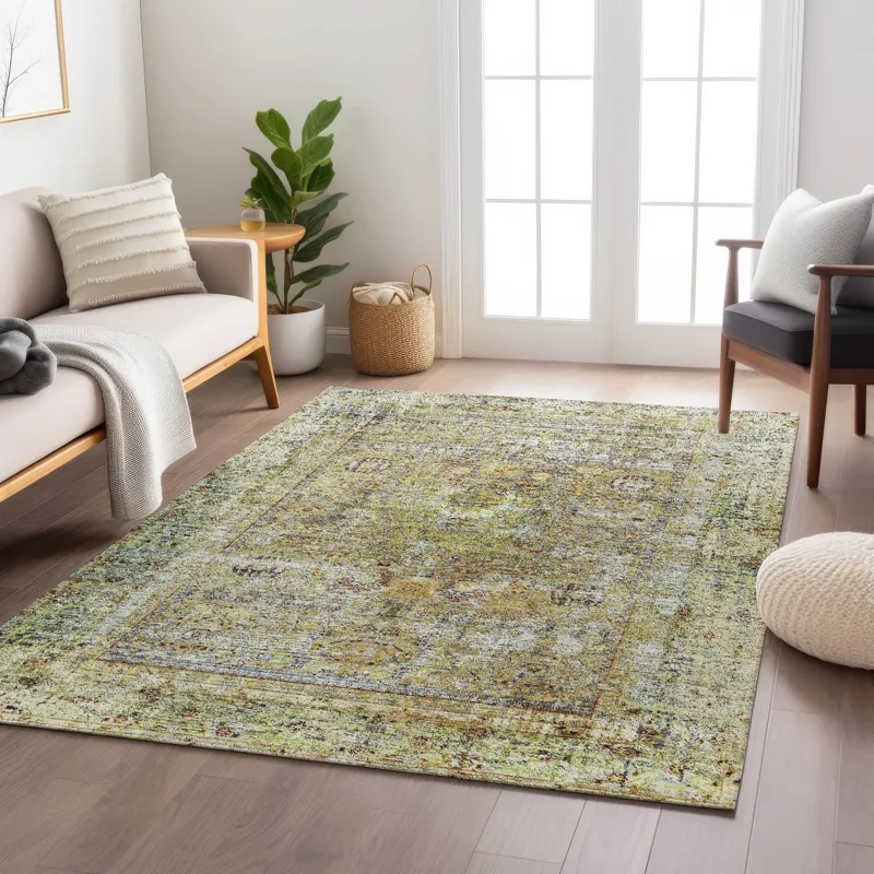 Indoor/Outdoor Karaj Aloe 9\' x 12\' Rug