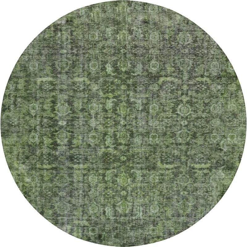 Indoor/Outdoor Karaj Cactus 8\' x 8\' Round Rug