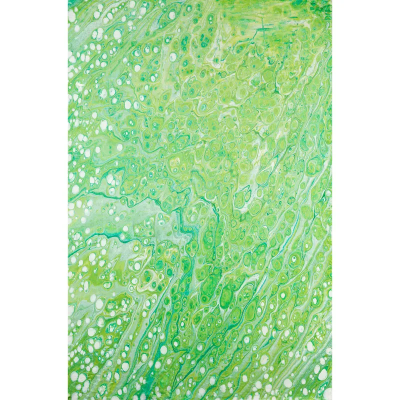 Kikiamo Lime-In 8\' x 10\' Rug