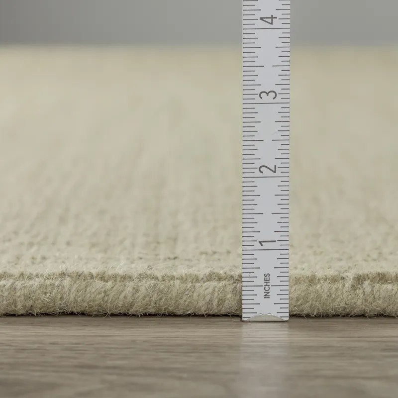 Monaco Sisal Aloe 2\' x 3\' Rug
