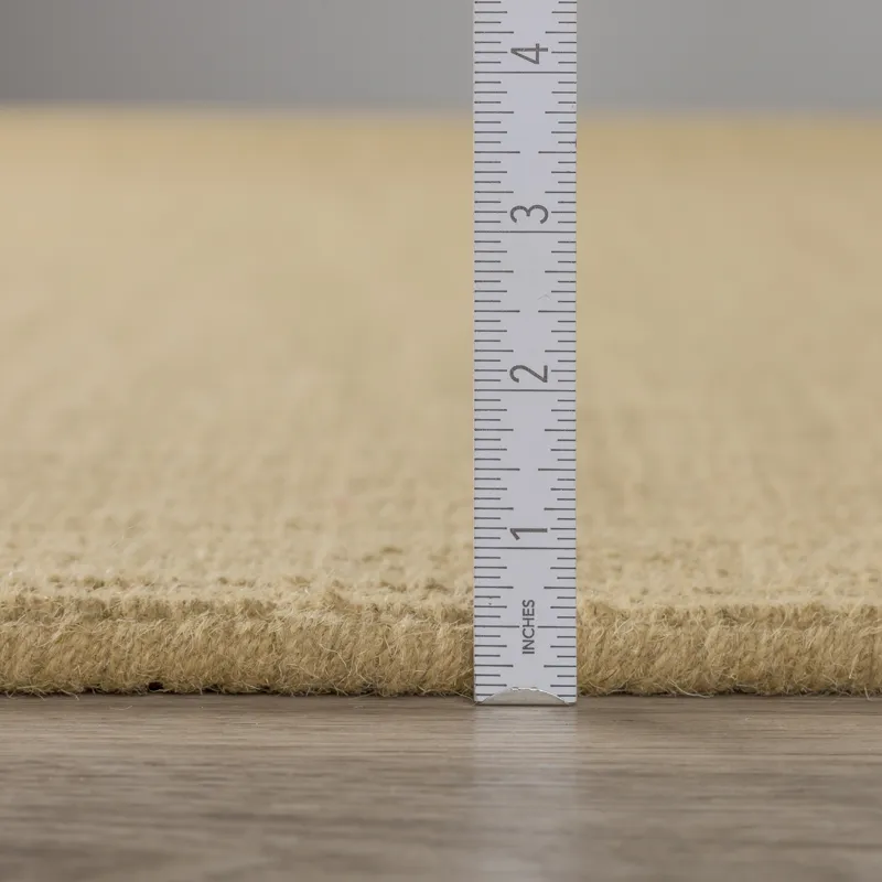 Monaco Sisal Gold 2\' x 3\' Rug