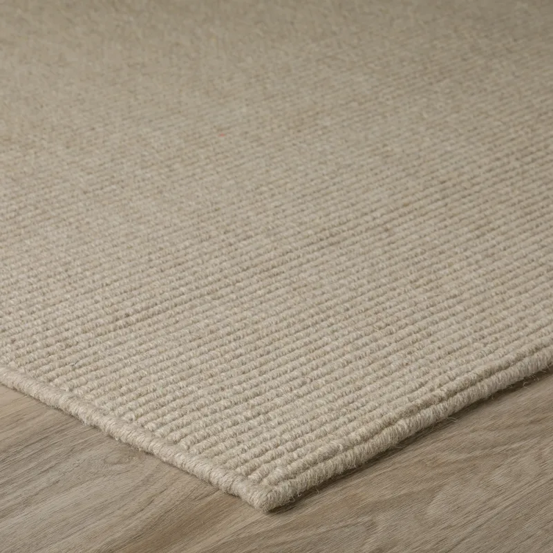 Monaco Sisal Taupe 2\' x 3\' Rug
